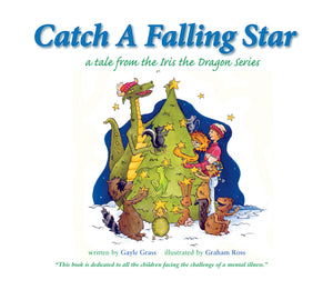 Open image in slideshow, Catch a Falling Star
